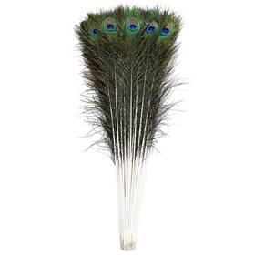 Ballinger 725249879322 20pcs Natural Long Peacock Feathers 35-40 Inch For Diy Craft Party
