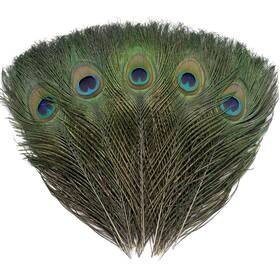 Ballinger 783926580329 24 Pcs Real Natural Peacock Eye Feathers 10-12 Inch For Diy Craft Wedding An