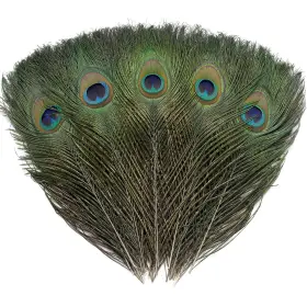 Ballinger 783926580329 24 Pcs Real Natural Peacock Eye Feathers 10-12 Inch For Diy Craft Wedding An