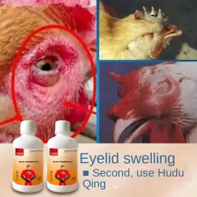 Supreme-goodsoutlet 445000682611 Chickens Ducks Pigeons Snoring And Coughing Opening Mouth Neck