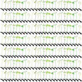 Tigeen B0fdpwj1n7 200 Pcs Rave Sprouts Bean Sprout Funny Hair Clips Mixed Style Plant Hairp