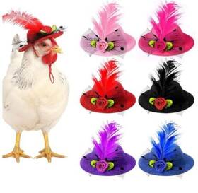 Wyiyuan 10111 6pcs Chicken Hats Mini Feather Top Hat With Adjustable Elastic Chin Strap