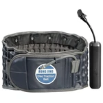 Hongjing Electric Pump Decompression Belt For Lower Back Pain Relief, Inflata... New. Price: $80.55.