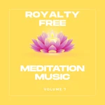 Relaxation Music, Meditation Cd Vol. 7 Royalty Free Massage New. Price: $10.65.