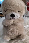 Fisher Price Infant Baby Plush Bedtime Musical Soothe 'n Snuggle Otter Euc Used. Price: $19.46.