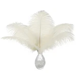 Ballinger Ostrich Feathers 24PCS 8-10IN Beige Crafts Wedding Decor New. Price: $14.88.