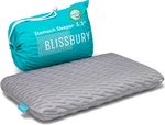 Blissbury Stomach Sleeping Pillow - Thin Memory Foam For Sleepers New. Price: $112.99.