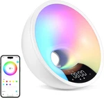 Hom Smart Sunrise Alarm Clock With Wake-up Light & Fm Radio Digital And New. Price: $108.99.