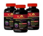 Antioxidant Supplement - Mucuna Pruriens Extract 3B Brain Health & Antistress New. Price: $47.11.