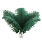 Ballinger Blackish Green Ostrich Feathers Bulk- 24PCS 8-10INCH For Wedding Pa... New. Price: $18.42.