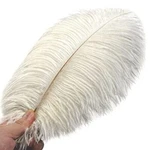 Ballinger Ostrich Feathers Natural White 24PCS 10-12INCH Nip Weddings Crafts New. Price: $24.95.
