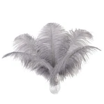 Ballinger Natural Gray Ostrich Feathers 24PCS 10-12INCH For Wedding Party C... New. Price: $19.47.