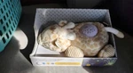 Lullaby Dream Projector Soother, Light For Calming Stars At Night New. Price: $15.00.