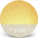 Dreamegg Sunrise Alarm Clock Sleep Machine 29 Sounds 9-COLOR Night Light New. Price: $49.99.
