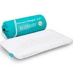 Blissbury Stomach Sleeping Pillow Ultra Thin 2.6" Memory Foam For Neck And ... New. Price: $51.76.