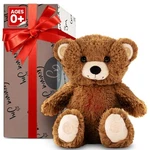Gemma Joy Bedtime Buddy - Rechargeable Brown Bear Sealed Box New. Price: $45.00.