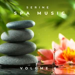 Serenity Spa Relaxation Music Cd V6 Beauty Salon Holistic Therapies Massage New. Price: $9.98.