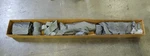 Philips Patient Restraint Upgrade Kit - 453566371911 Used. Price: $990.37.