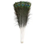 Ballinger 20PCS Natural Long Peacock Feathers 35-40INCH, Turquoise Blue New. Price: $52.88.