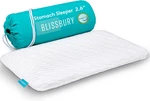 Blissbury Stomach Sleeping Pillow Ultra Thin 2.6" Memory Foam For Neck And Cer New. Price: $57.16.