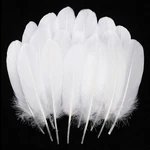 Ballinger Natural White Goose Feathers 120PCS 6-8INCH For Crafts Wedding Decor New. Price: $12.31.