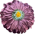 Jwh 3D Flower Throw Pillow Cover Aesthetic Decorative Round Accent Case New. Price: $24.99.